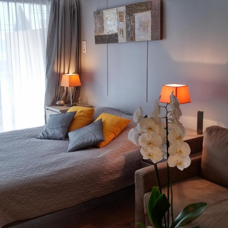 SOPHIES HOMES FÉLIBRIGES BEACH & PALAIS des FESTIVALS - Appartement - Vue sur Piscine - 4