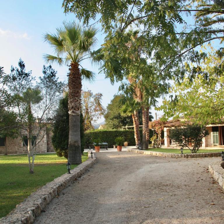 Can Carube - Villa - 24