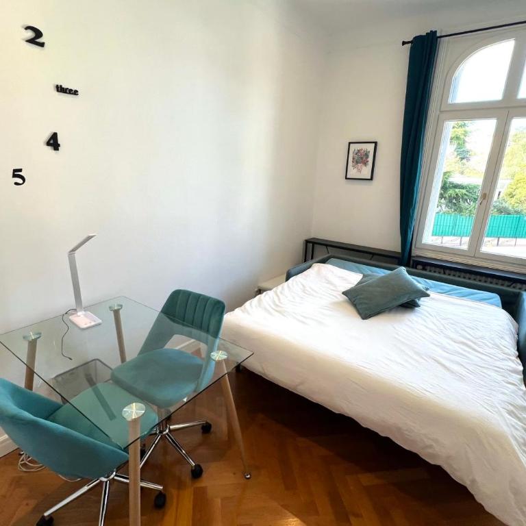 Cannes Tassigny Stylish - 2 Bedroom Apartment Sleeps 5 Free Parking - Apartment - 41