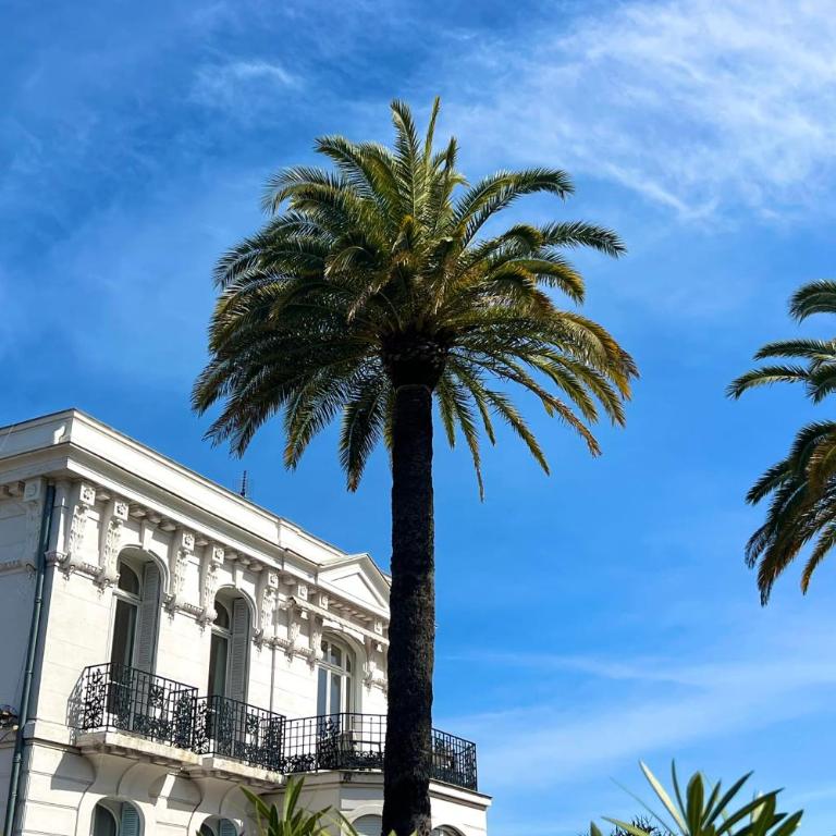 Cannes Tassigny Stylish - 2 Bedroom Apartment Sleeps 5 Free Parking - Apartment - 45