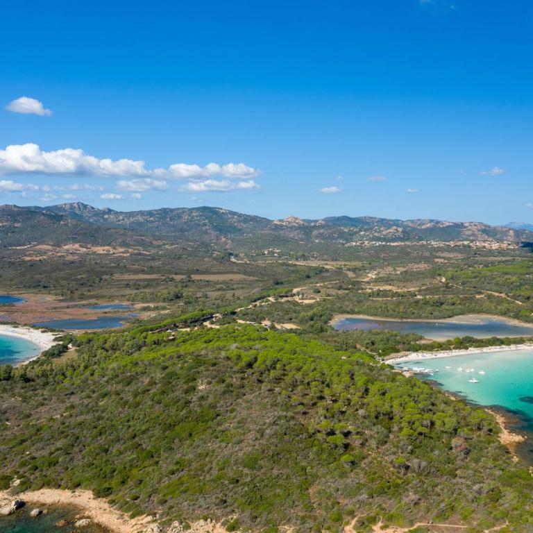 Apartments in San Teodoro 43450 - Appartamento - 16