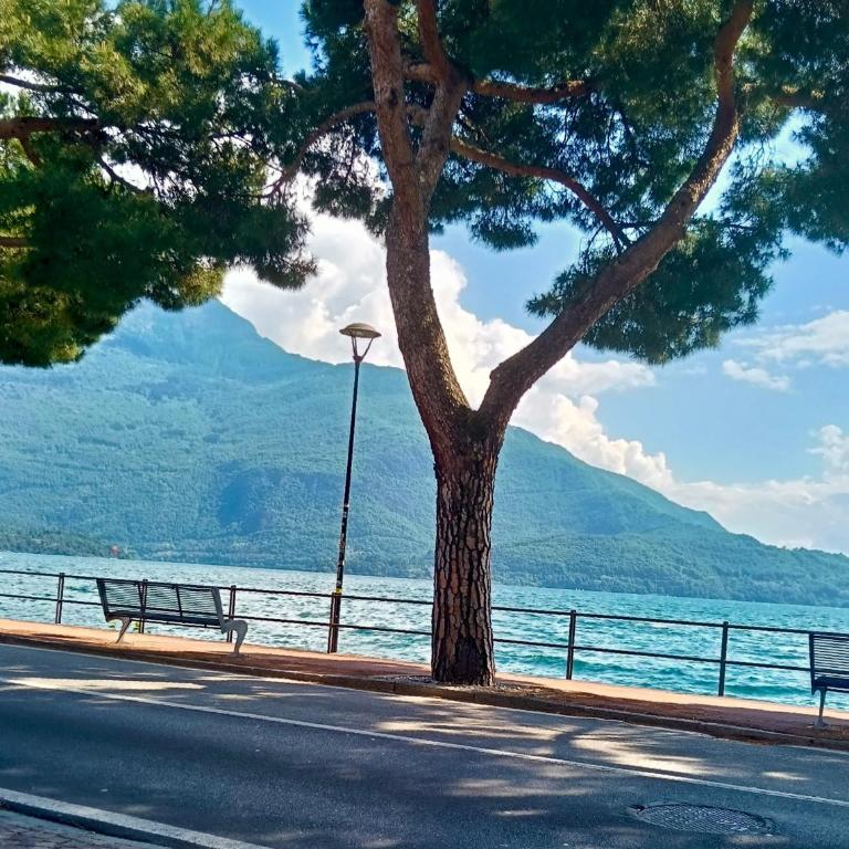 Lake Como PORTO VECCHIO - Charming Lakefront Apartment in the Heart of Domaso - Appartamento con 1 Camera da Letto - 38
