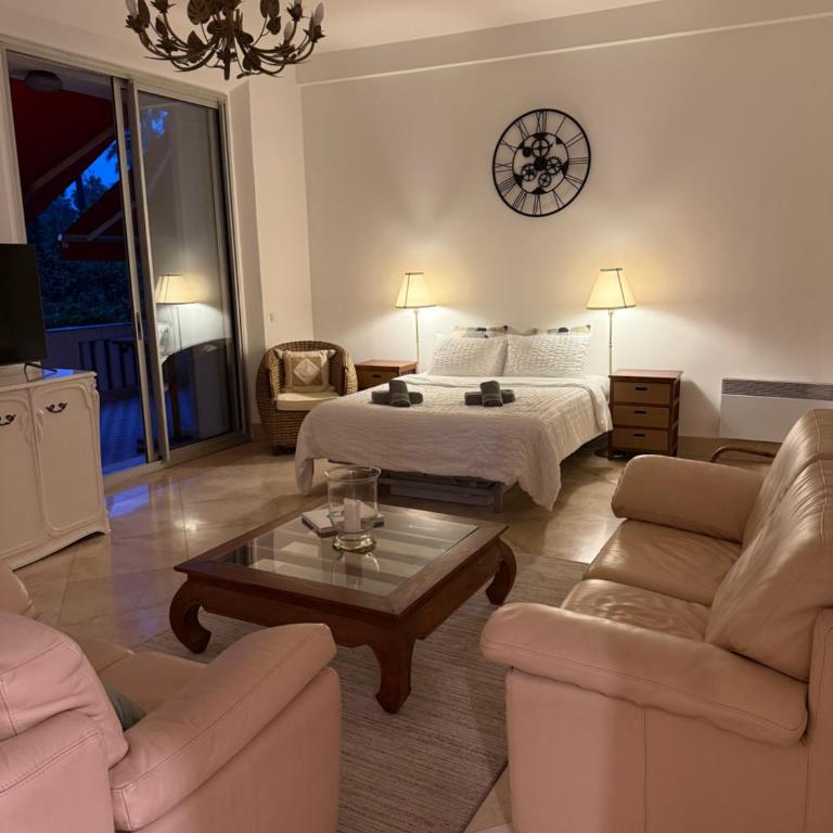 Viva Riviera Unique Apartment with Terrace and Secret Garden Croisette - Apartamento de 2 dormitorios - 4