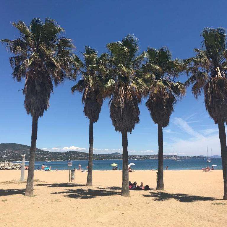 PCOGASTO - Golfe de St-Tropez - Appartement dans résidence avec piscine avec vue sur marina - Appartement 2 Chambres - 10