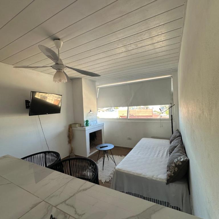 BichoNegro Hostel - Apartment with Park View - 4