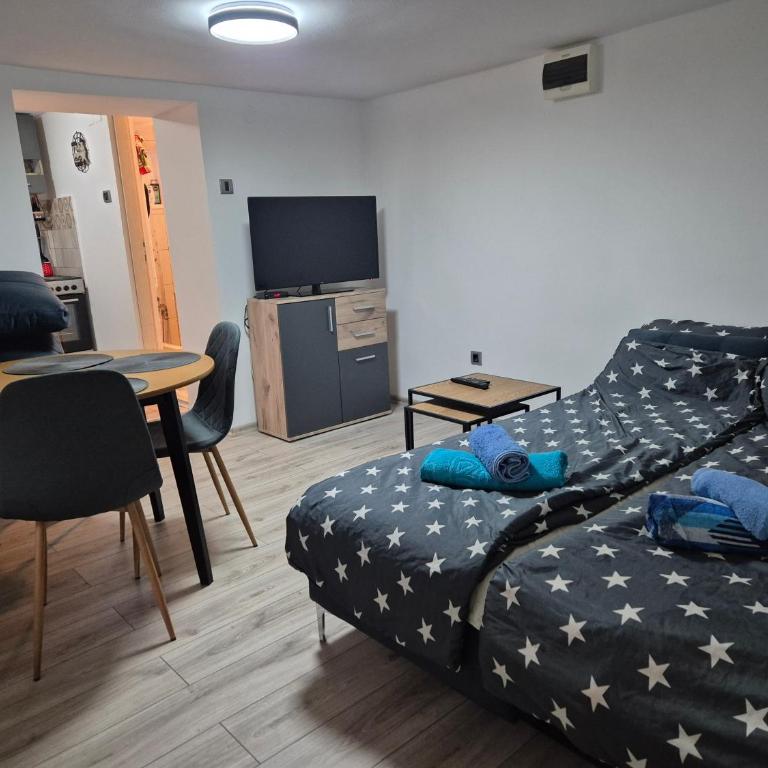 Apartman Kanarinac - Apartman sa 1 Spavaćom Sobom - 13