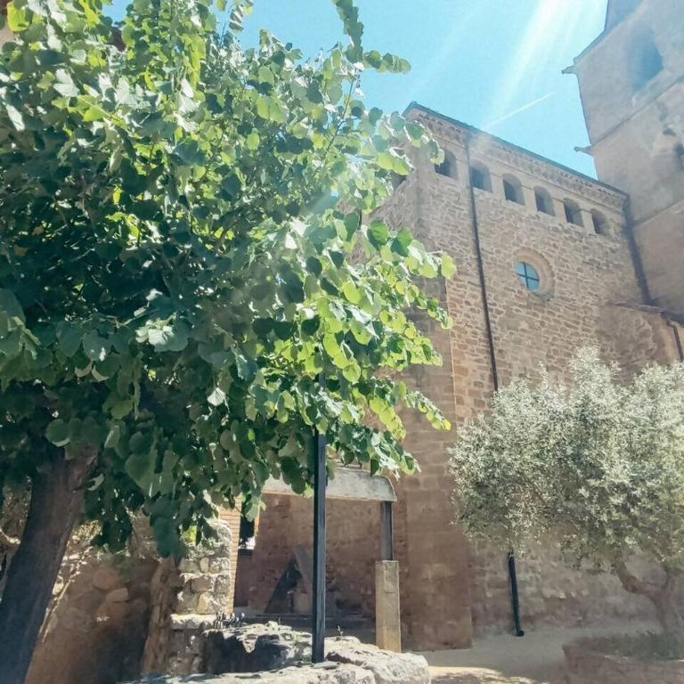 Encanto rural con gran terraza - Appartement 2 Chambres avec Terrasse - 16