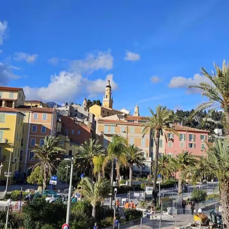 Palm Studio - Palace & Plages - Centre Menton - Appartement 1 Chambre - 37