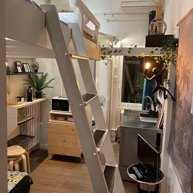Palm Studio - Palace & Plages - Centre Menton - Appartement 1 Chambre - 29