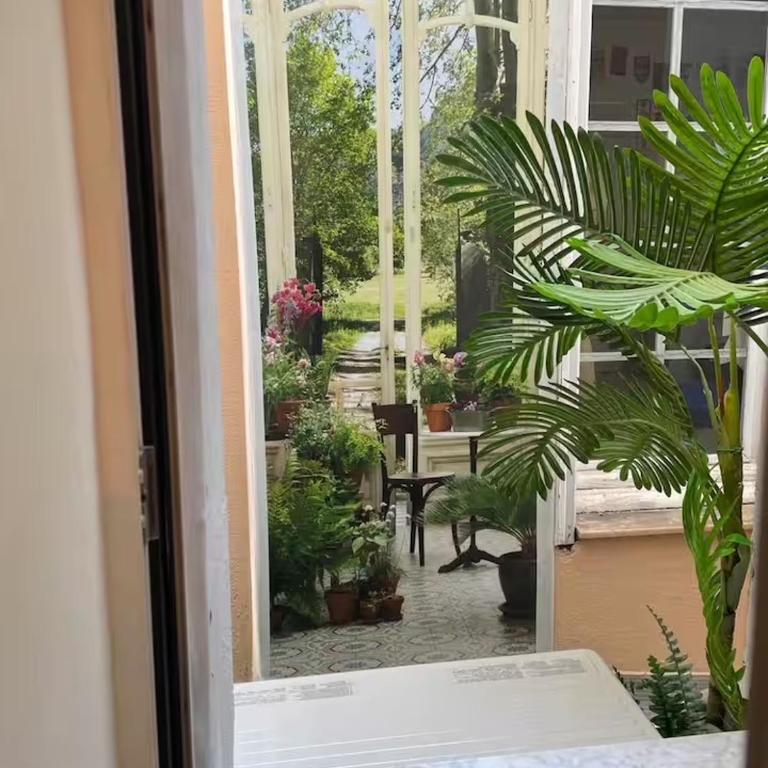 Palm Studio - Palace & Plages - Centre Menton - Appartement 1 Chambre - 30