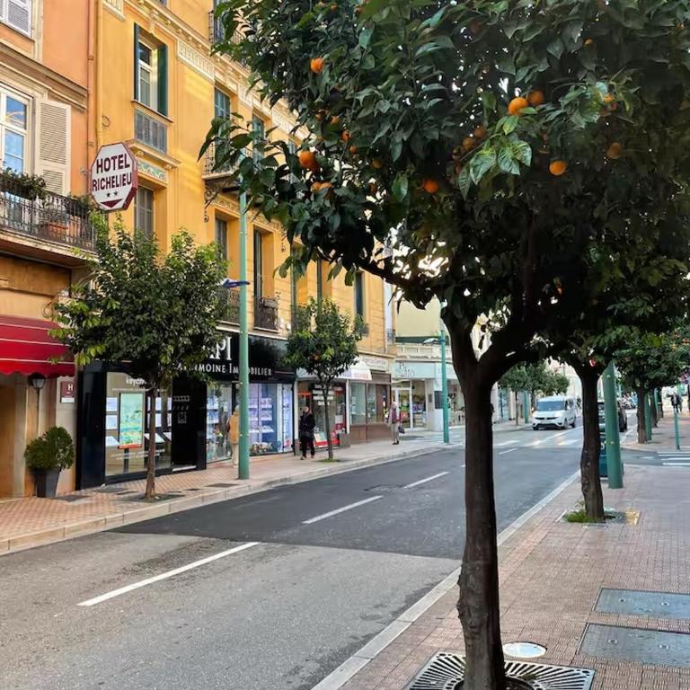 Palm Studio - Palace & Plages - Centre Menton - Appartement 1 Chambre - 42