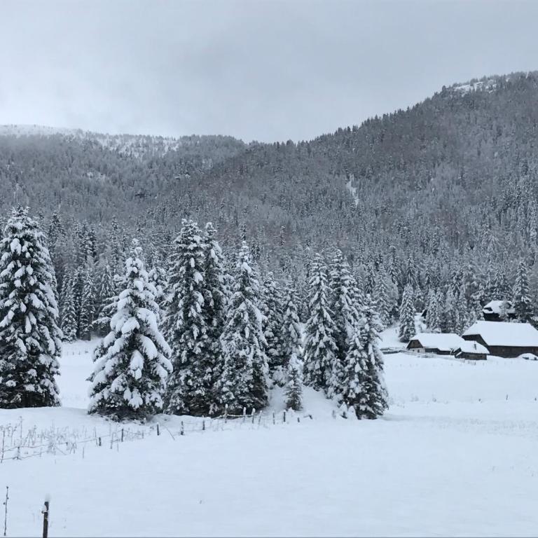 TANAs Almhütte - Haus mit 3 Schlafzimmern - 29