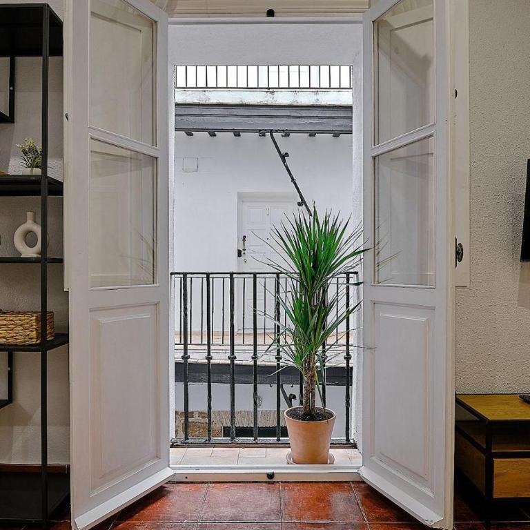 Apartment Mesón Cádiz by LiveWork - Apartamento Deluxe de 1 dormitorio - 24