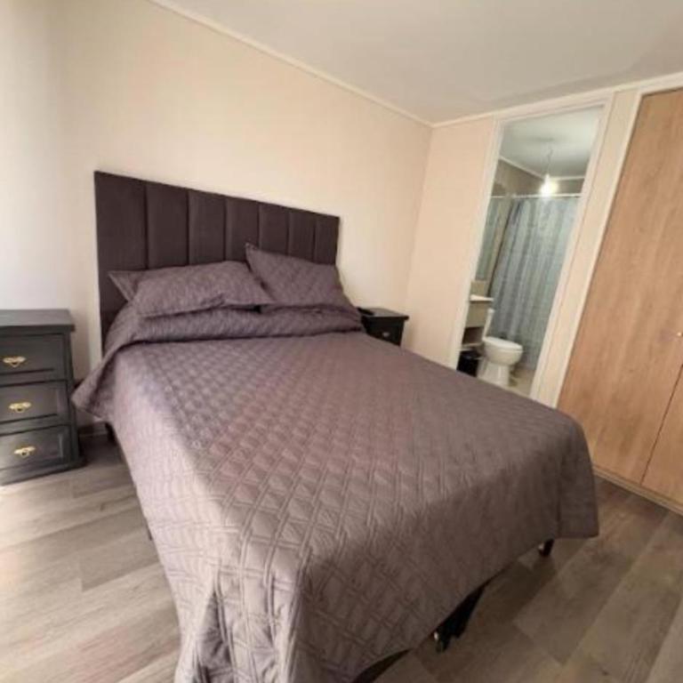 Departamento bella vista en Santiago centro - One-Bedroom Apartment - 2