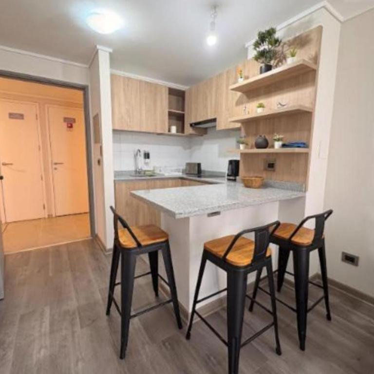 Departamento bella vista en Santiago centro - One-Bedroom Apartment - 4