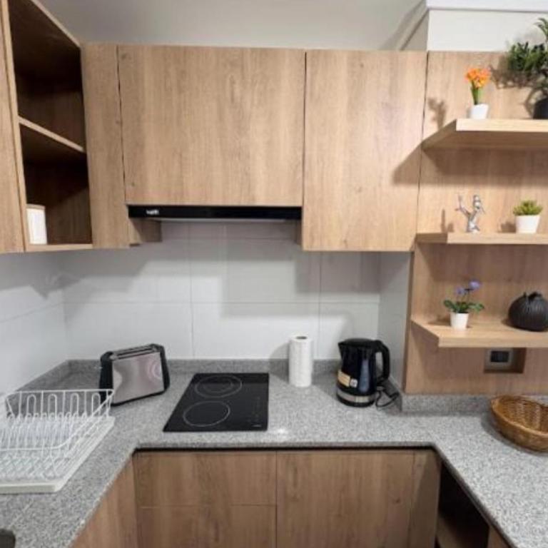 Departamento bella vista en Santiago centro - One-Bedroom Apartment - 8