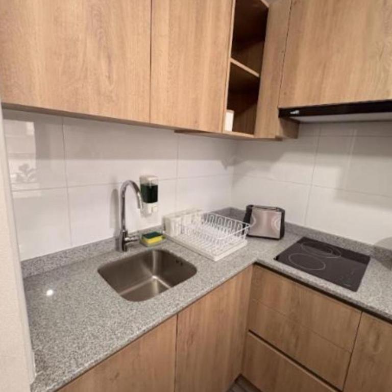 Departamento bella vista en Santiago centro - One-Bedroom Apartment - 10