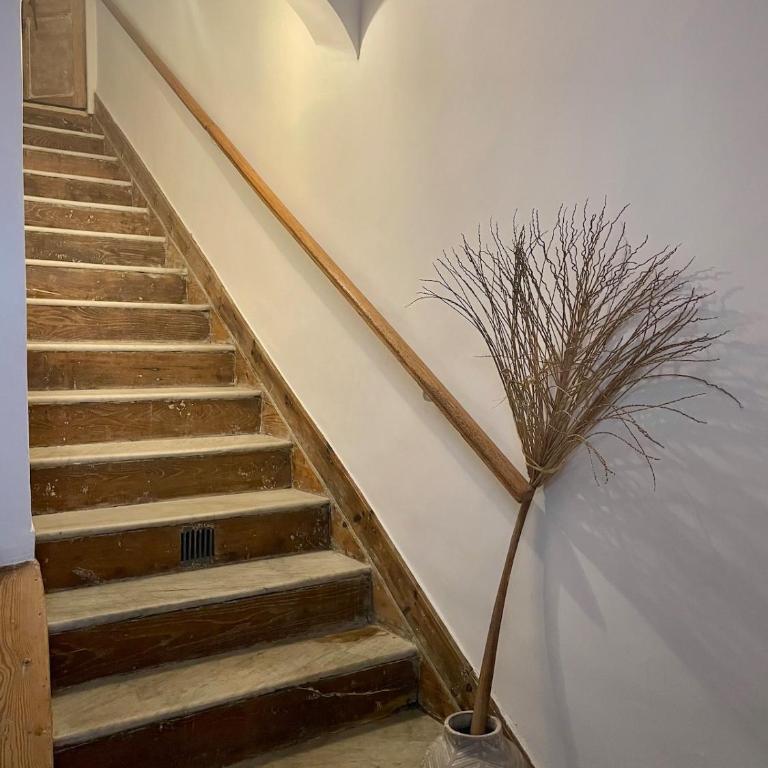 130 m2 hyper centre cathedrale - Appartement 3 Chambres - 28