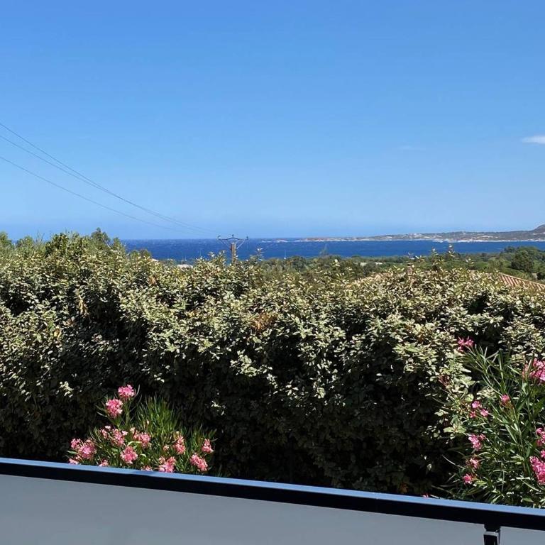 Appartement T2 avec vue mer et citadelle - Apartamento de 1 dormitorio con balcón y vistas al mar - 8