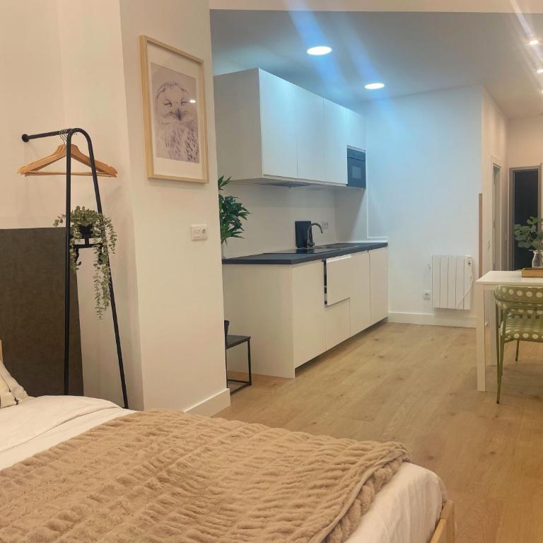 Bosko Etxea Apartamentos - Standard Studio - 3