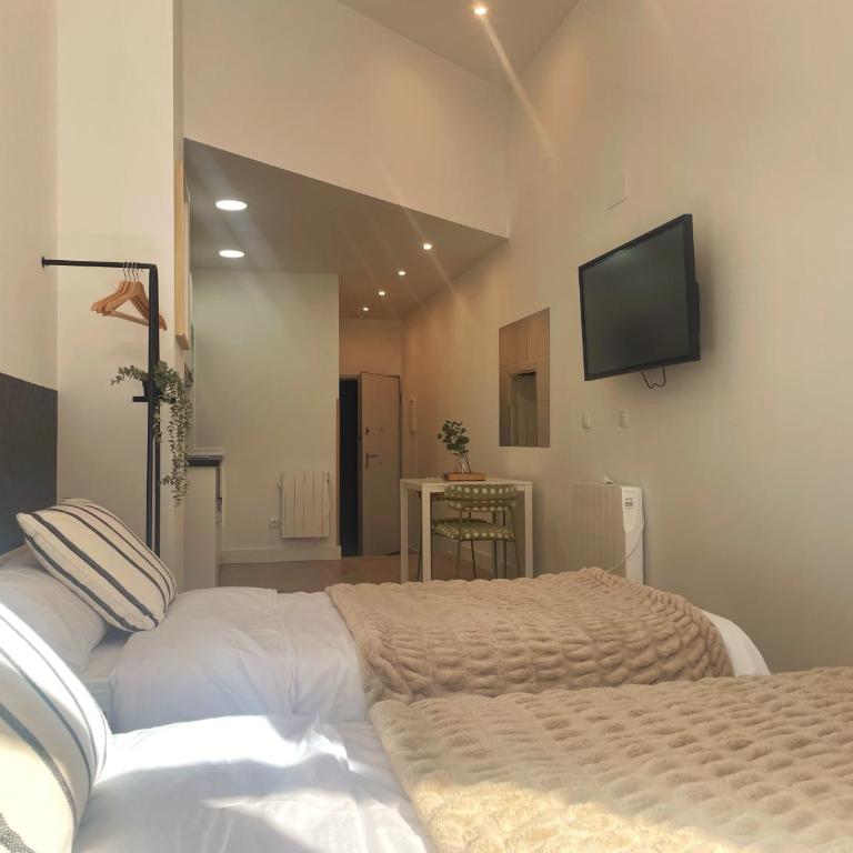Bosko Etxea Apartamentos - Standard Studio - 6