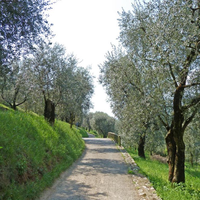 Appartamento Williams - Appartamento - 13