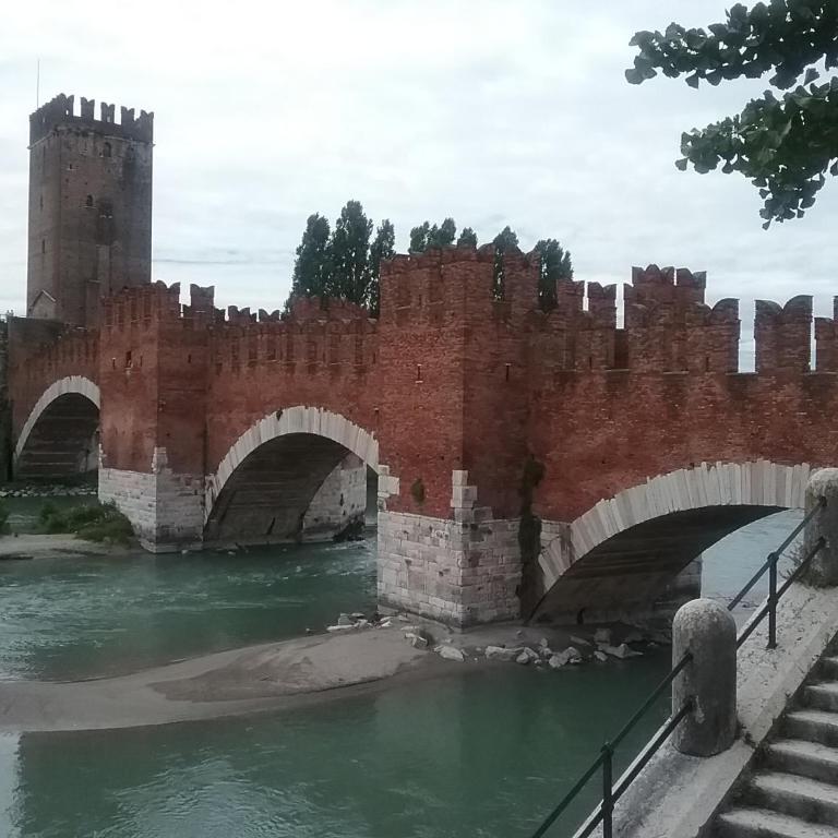 Appartamento Williams - Appartamento - 11