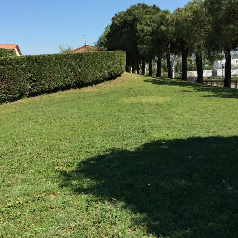 Appartamento Williams - Appartamento - 15