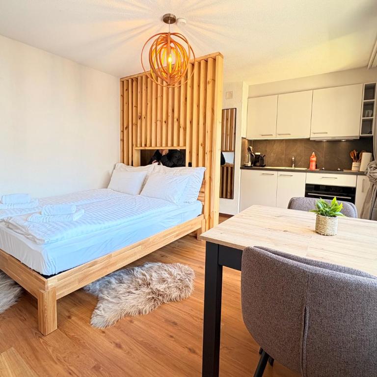 City Studio in Interlaken mit Parkplatz - One-Bedroom Apartment - 1