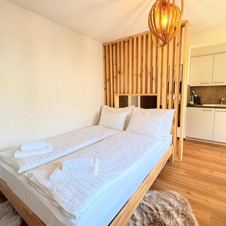 City Studio in Interlaken mit Parkplatz - One-Bedroom Apartment - 5