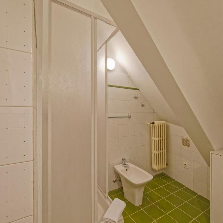 Appartement Auron à 150 mètres du téléphérique - Appartement - 28