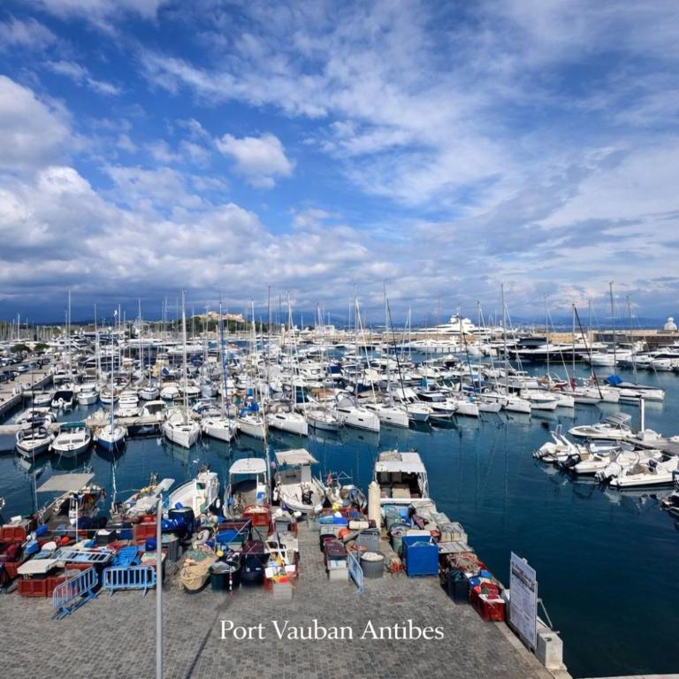 Old Town Antibes Apartment with AC 320m from Beach - Appartement Supérieur - 31