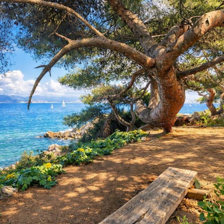 Old Town Antibes Apartment with AC 320m from Beach - Appartement Supérieur - 37