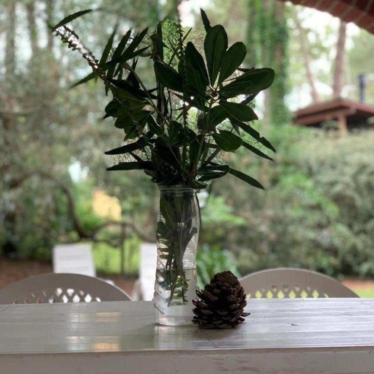 Chalet en Cariló para 6 en el Bosque - Casa de 3 dormitorios - 8