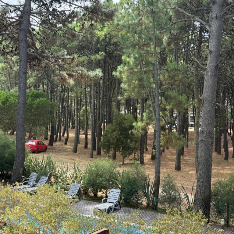 Departamento Premiun Pinamar Hollywood 1D - Apartamento de 1 dormitorio - 6