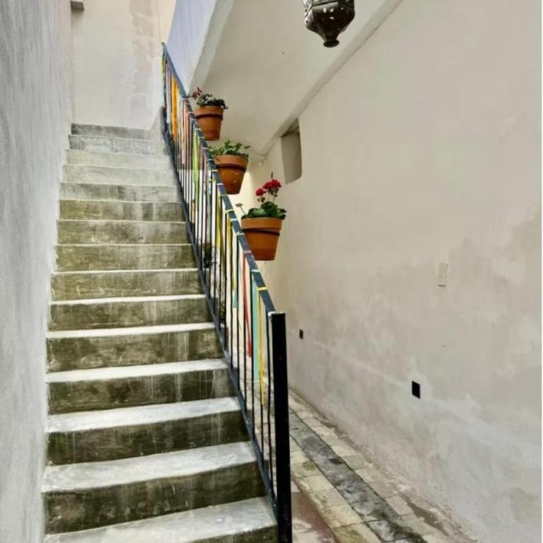 Canteira Boutique ApartHotel - Deluxe Double Studio - 6
