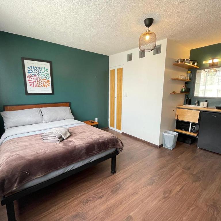 Bright Studio Apartment Casa Icacos Apt 2 - One-Bedroom Apartment - 5