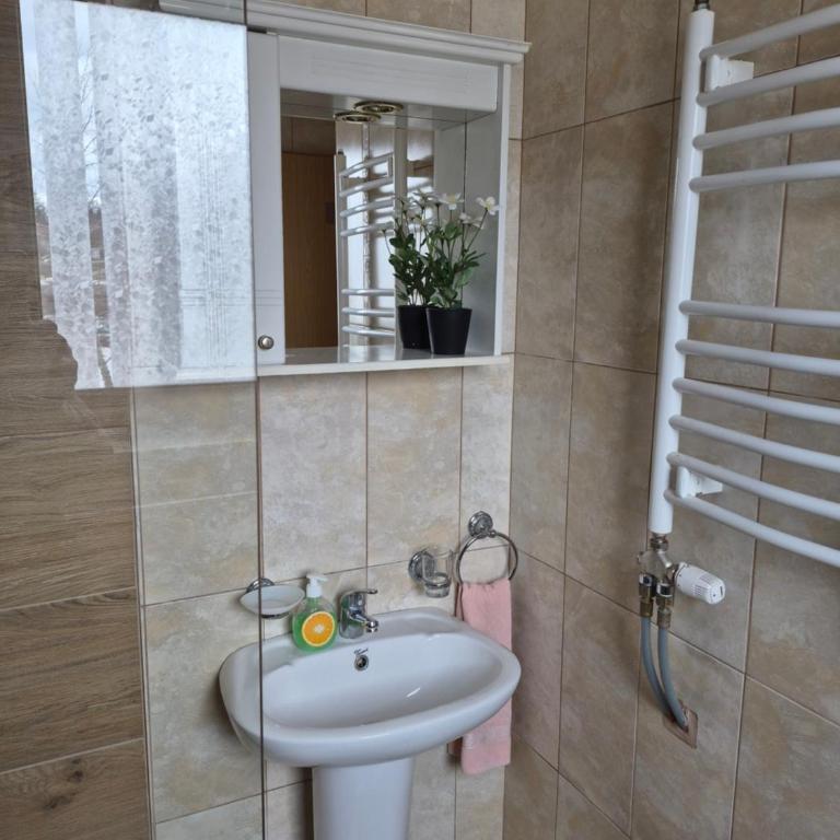 Family Apartments - Family Suite with Balcony - 10