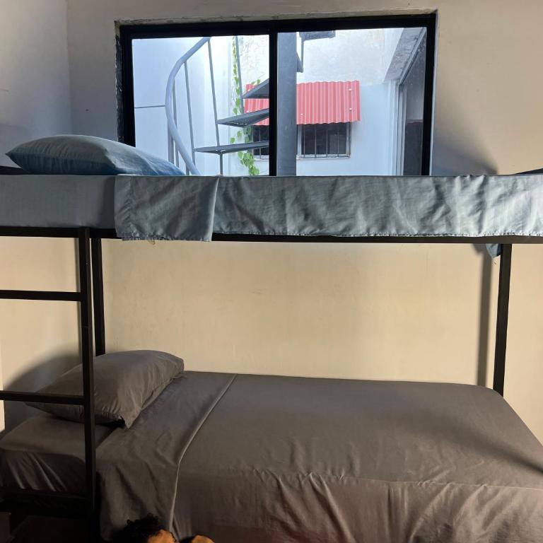 Hostal Nomadas - Cama en habitación compartida con 4 camas - 2