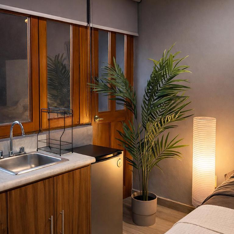 Bowra, Estudio Zona Consulado ORQ 2 - Apartamento de 1 dormitorio - 10