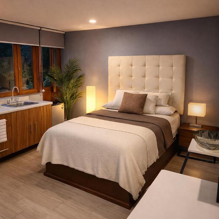 Bowra, Estudio Zona Consulado ORQ 2 - Apartamento de 1 dormitorio - 14