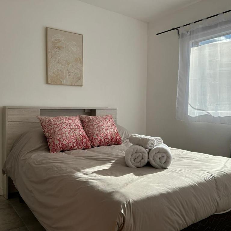 Acogedor y luminoso departamento en el centro - Apartamento de 1 dormitorio - 13