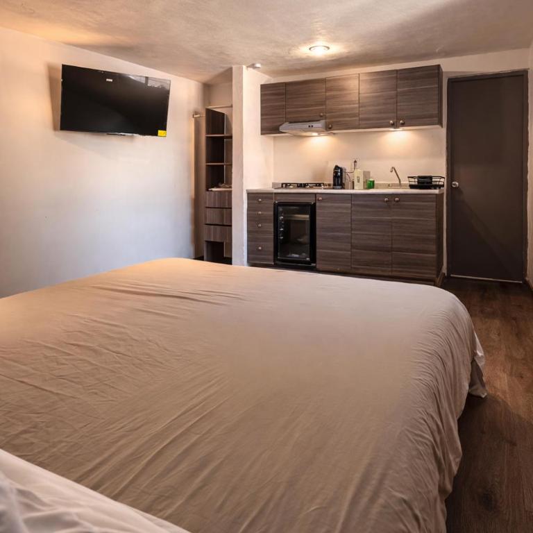 Bowra Milan Providencia Studio 4 - One-Bedroom Apartment - 15
