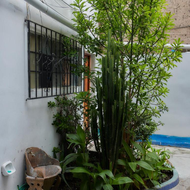 TuKasa - Boutique Libertad - Double Room - 13