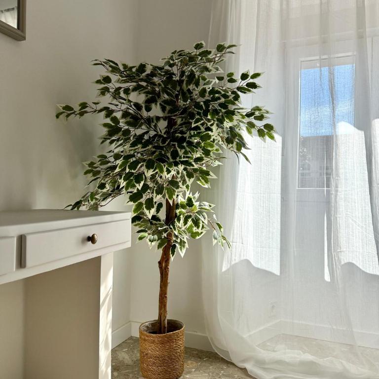 Suite Boutique Osario - Apartamento de 3 dormitorios - 2