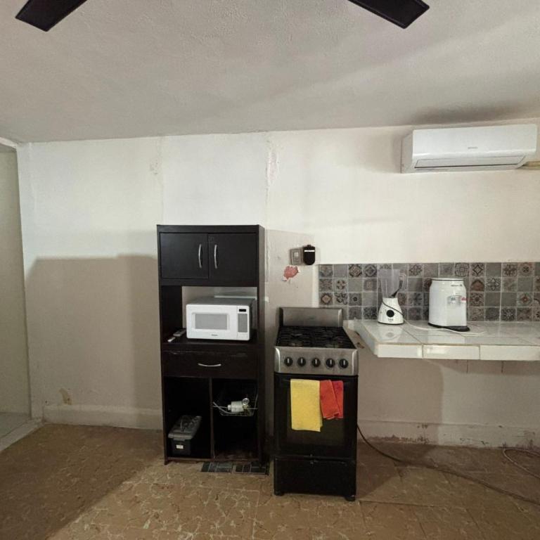 Depa Vega para Ejecutivos - One-Bedroom Apartment - 3