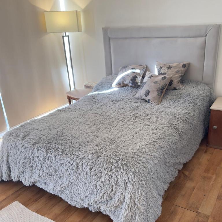 Departamento en centro de San Pedro - Apartamento de 1 dormitorio - 2