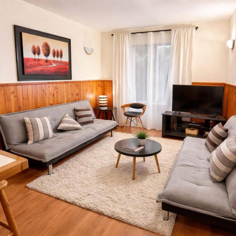 Refugio del volcán - Classic Apartment - 26