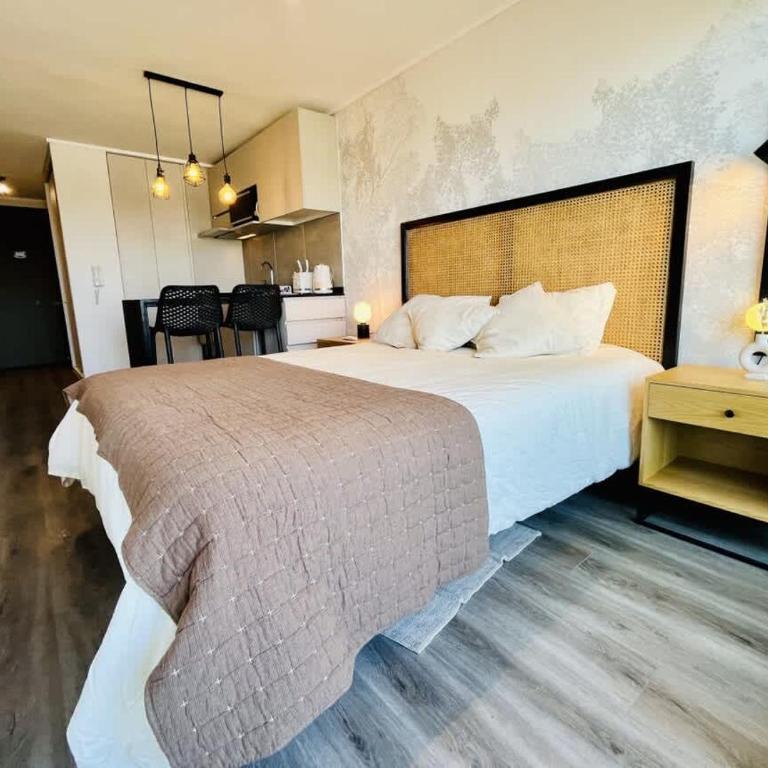 Charming Studio in Nunoa - AC Free Parking - Apartment - 20