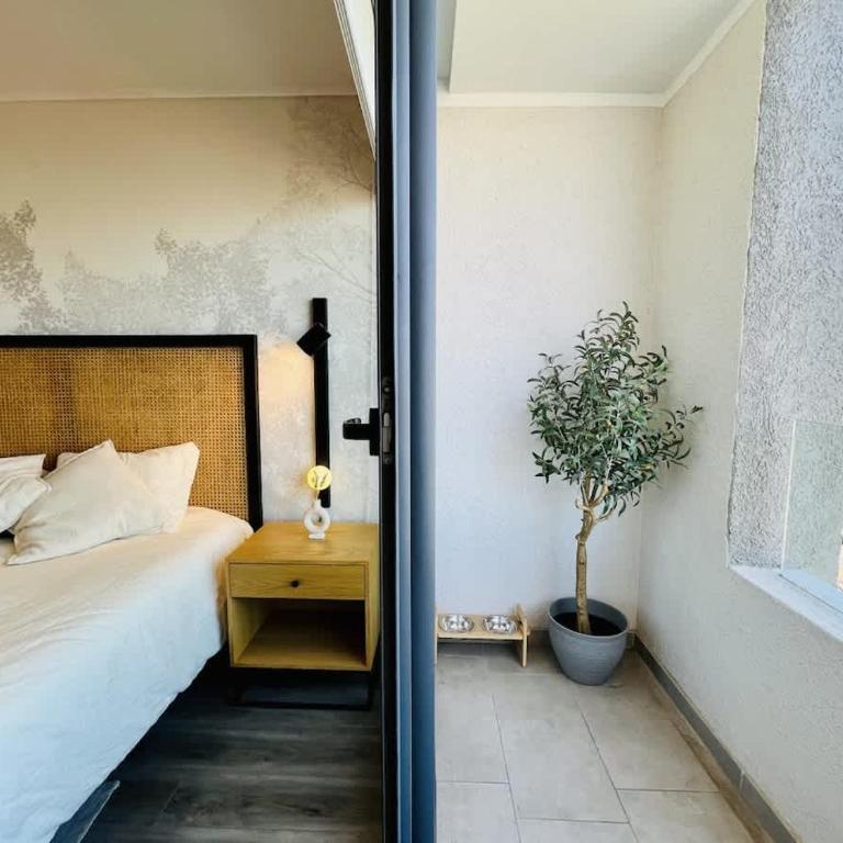 Charming Studio in Nunoa - AC Free Parking - Apartment - 22